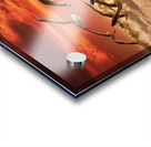 a stunning photograph of seagulls gracefully soar Acrylic print