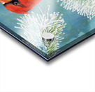 Winter Red - Painting Acrylic print