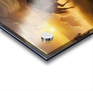 SADNESS Acrylic print