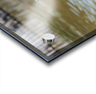 Elegance is my fair Acrylic print