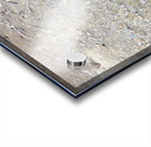 Look closely Acrylic print