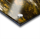 Profiles Falls Autumn  Acrylic print