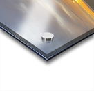 Miami Beach Acrylic print