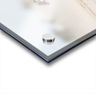 Desert Horses Acrylic print