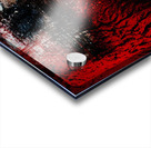 Young Buffalo Acrylic print