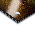 Explore Park  Sloans Grist Mill  Acrylic print