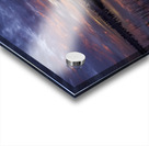 Gator Lake Florida Everglades Acrylic print