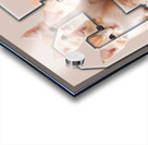 kittens Acrylic print