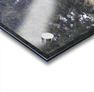 3 deer Acrylic print