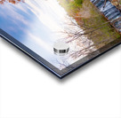 Brightwell Mill Amherst County Virginia Landscape Acrylic print