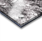 lynchburg old city cemetery BWpink Acrylic print