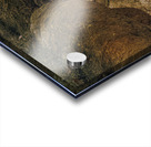 St. Johns Island Angel Oak Tree Branches Acrylic print