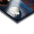 Basking in the Midnight Air Acrylic print