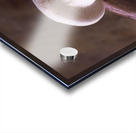 Mushrooms Acrylic print