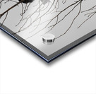 Silhouette Birds in a Tree Acrylic print