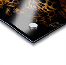 Resting Jaguar Acrylic print