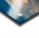 Free Bird Acrylic print