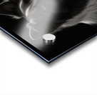 Default line pencil drawing boder collie silhouet Acrylic print