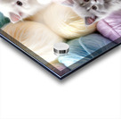 Fluffiness Overload Acrylic print