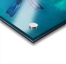 freedive Acrylic print