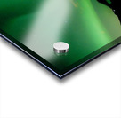 green northern lights on lake Acrylic print