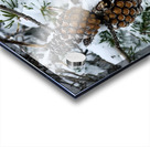 Pinecone  Acrylic print