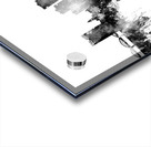 Fort Worth Texas Skyline Acrylic print