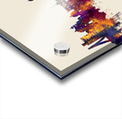 Toluca Skyline Mexico Acrylic print