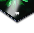 Abstract Green Glowing Cone Flower Acrylic print