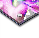 Abstract Colour Popping Lilies  Acrylic print