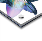 Abstract Awesome Lily Flower Acrylic print