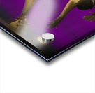 Lakers James Worthy Jump Hook Acrylic print