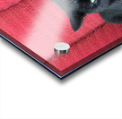 Black Cat Red Chair Acrylic print