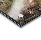  A Walk in Nature in the Scottish Highlands Acrylic print