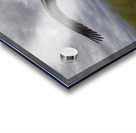 10487 Landing Gear Acrylic print