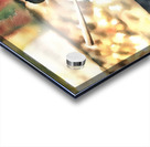 Sunny Day Swing Acrylic print