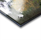  The Bridge in the Woods to the Scottish Highlands Acrylic print