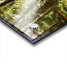 Sunny Nature Path in the Scottish Highlands   Acrylic print