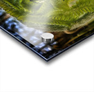 Unfolding - Maine Botanical Wall Art Acrylic print