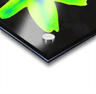  Abstract  Stunning Glowing Green Lily Acrylic print