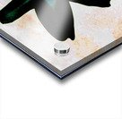  Stunning Abstract Dark Lily Flower  Acrylic print