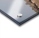 Wildebeest Acrylic print