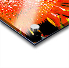 Abstract Vibrant Sunflower  Acrylic print