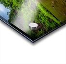 Ithaca Falls Acrylic print