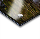 Watkins Glen stairway Acrylic print