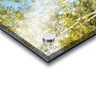 Aspen and Blue Skies Acrylic print