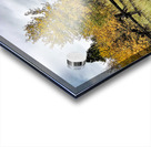 Autumn Rustic Teton Ranch Fence Acrylic print