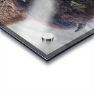 Buffalo head Acrylic print