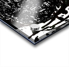  Abstract Swirling Black and White Woodland Plant Acrylic print