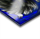 More Abstract Swirling Woodland Flower  Acrylic print